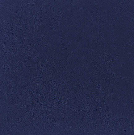 Обложка твердая City Agenda Buffalo А5, темно-синий