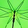 Зонт-трость Undercolor с цветными спицами, зеленое яблоко small_img_3