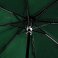 Зонт  Glamour, черно-зеленый small_img_2