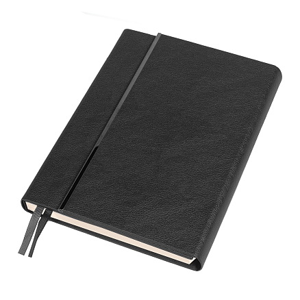 Ежедневник Alfa Bird Petrus, черный, недатированный, в твердой обложке с металлическим элементом