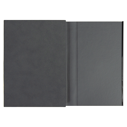 Ежедневник Alfa Bird line Nuba, темно-серый,  недатированный, в твердой обложке с магнитным клапаном и металлическим элементом, с тисненными линиями