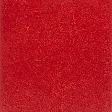 Ежедневник City Buffalo А5, красный, недатированный, в твердой обложке с поролоном