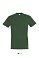 Фуфайка (футболка) REGENT мужская, темно-зеленый (264), S small_img_1