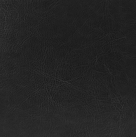 Обложка твердая City Agenda Buffalo А5, черный