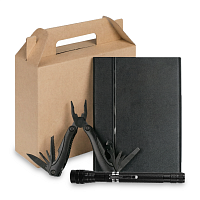 Набор подарочный Solution Everyday Kit  Trio  (мультитул, ежедневник, фонарик), черный